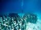 Silent evolution underwater sculpture - Cancun Mexico